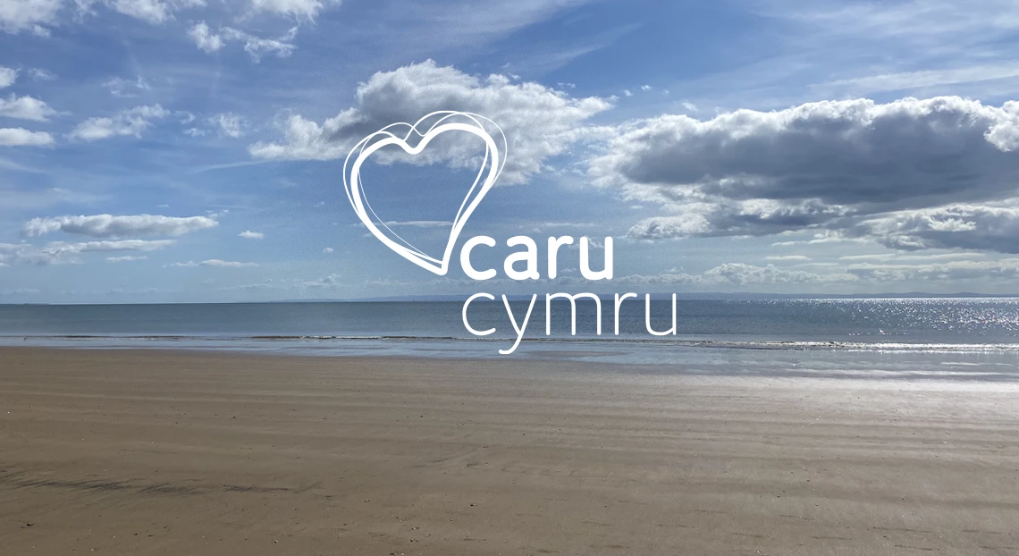 Swansea Bay - Caru Cymru Beach Clean
