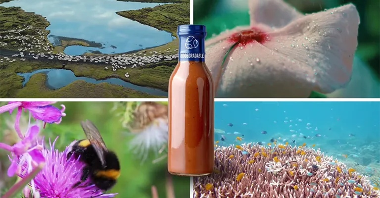A sauce bottle against a nature background