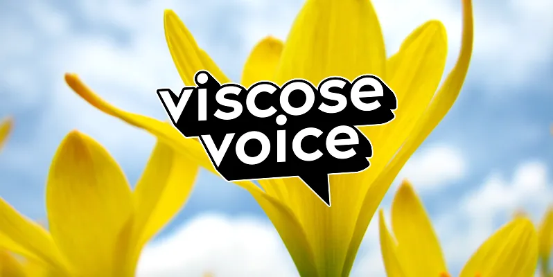 Viscose Voice - Daffodils in Spring
