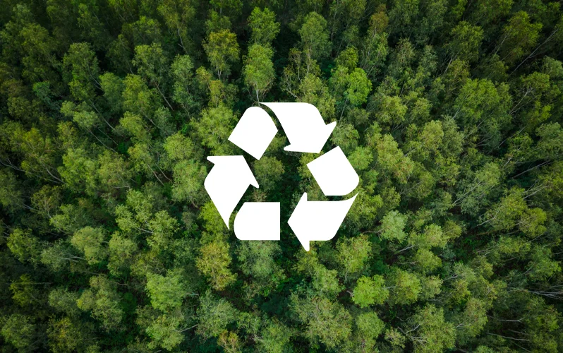 Arial photograph of a green forest